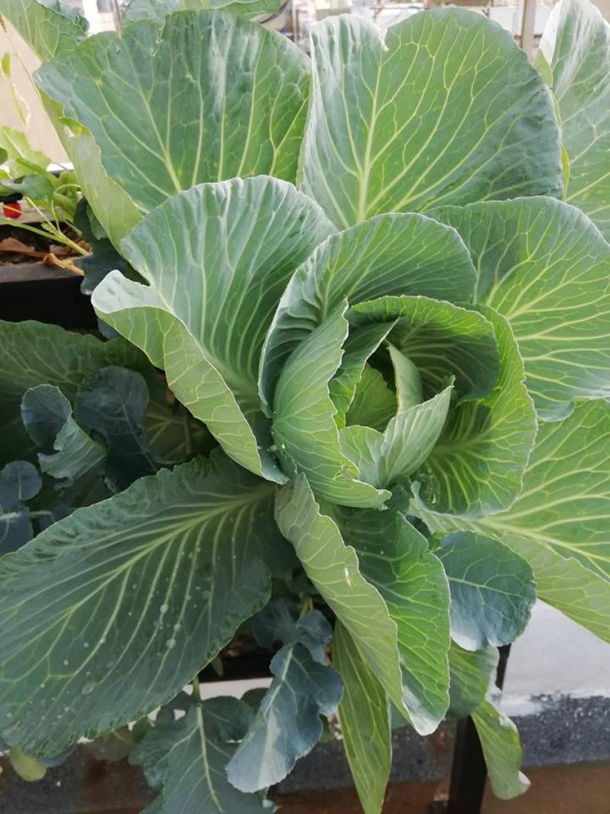 ���� ��� �������� 5