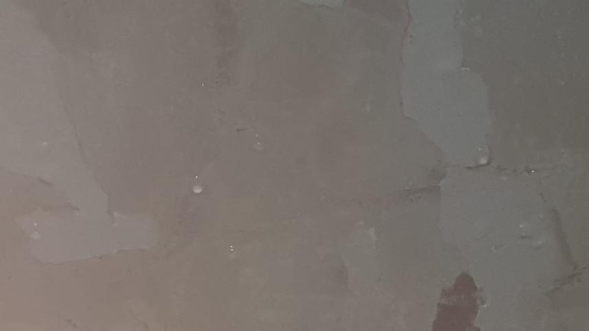 87348ace-cae2-49f9-9550-c0d30ac32e47