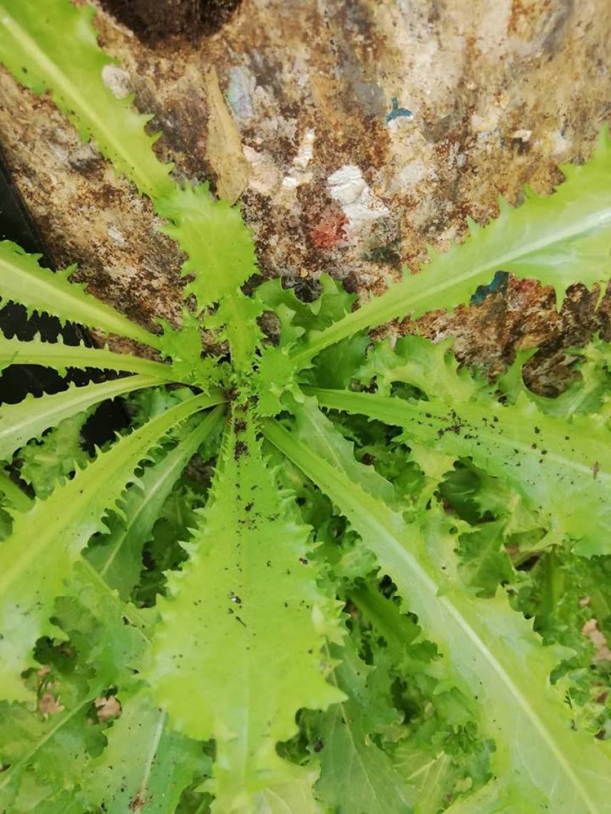 ���� ��� �������� 6