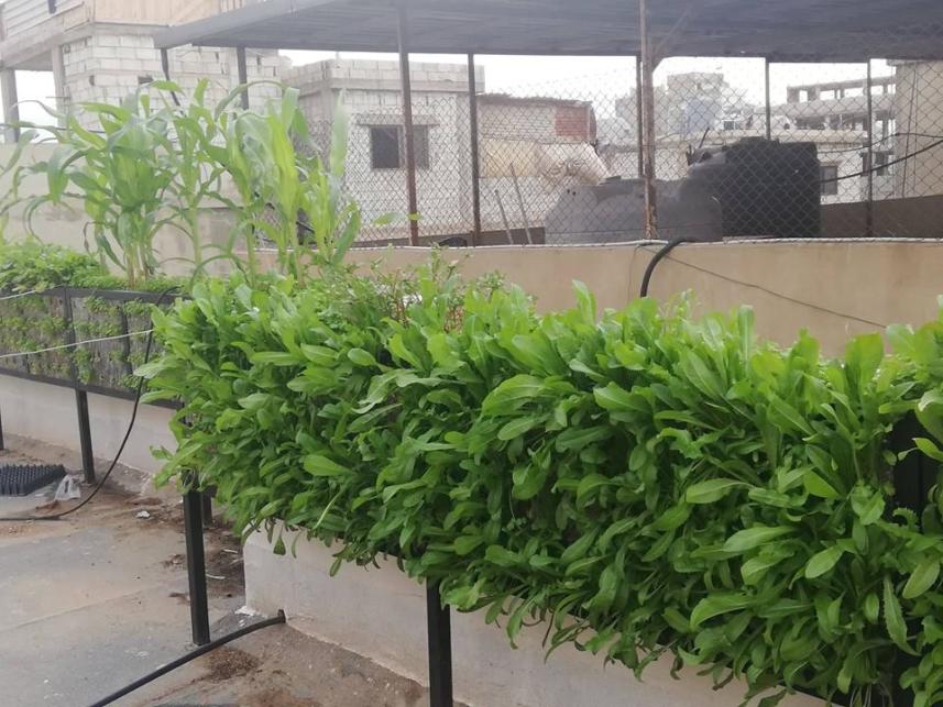 ���� ��� �������� 1