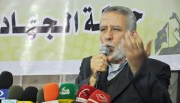 محمد الهندي