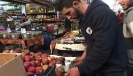 سوق الخضار 