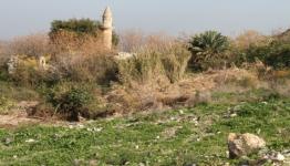 قرية نمرين