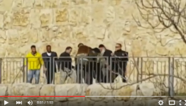 من الفيديو