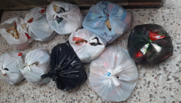المساعدات