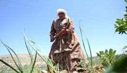 المرأة الفلسطينية في يوم الأرض