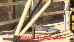 الفتاة هديل الهشلمون