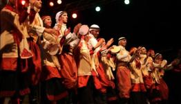 جانب من المهرجان