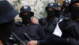 عرين الاسود