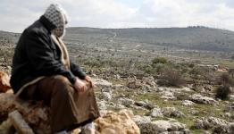 توطين الفلسطينيين