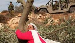 نضال المرأة الفلسطينية