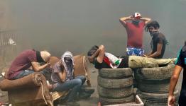 عين الحلوة