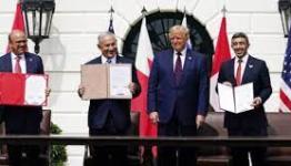 الدمى "الإبراهيمية"