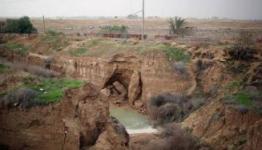 صورة رمزية 