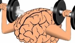 شحذ الدماغ