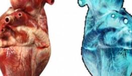 قلب رقمي لمساعدة مرضى القلب