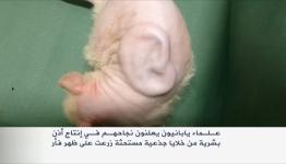 صورة تعبيرية 
