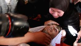 الشهيد ضياء التلاحمة