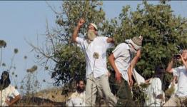 مستوطنون يرشقون المزارعين بالحجارة