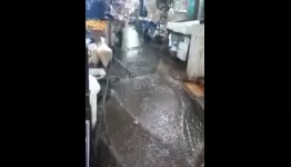 سوق الخضار في عين الحلوة