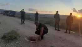جلبوع