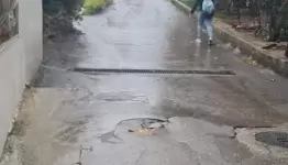 مخيم عين الحلوة