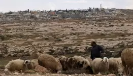 أفيغيل .. بؤرة "إستيطانية" حديدة