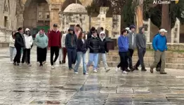 مستوطنون