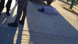جنود العدو يصيبون إمرأة فلسطينية
