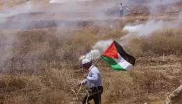 هذه الأرض لي