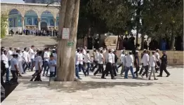 جماعات الهيكل