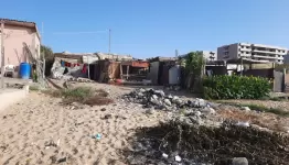 تجمع جل البحر