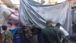 إزالة الدشم والسواتر في عين الحلوة
