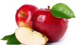 التفاح