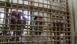 هيئة الأسرى
