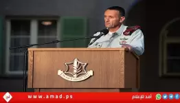 هاليفي