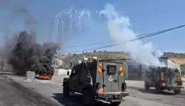 جنين