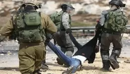 توثيق شهادات أسرى تعرضوا للضرب