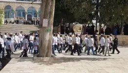 جولات استفزازية