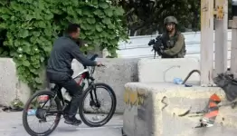 بلدة عقربا