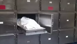 ارشيف