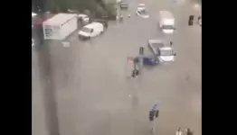 سيول