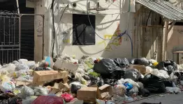 النفايات  في عين الحلوة