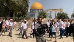 مستوطنون