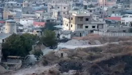 عين الحلوة