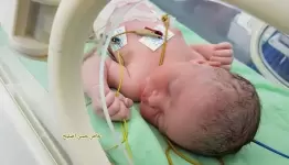 ارشيف