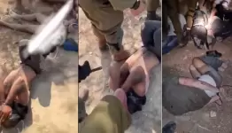 عمليات تنكيل