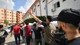 17 شهيداً