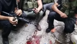 دماء الجنود
