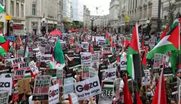متضامنين مع فلسطين